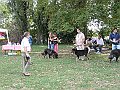 img 075
